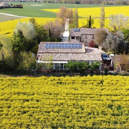 La Casa Di Tara B&B Armonia E Natura Recanati Eksteriør billede