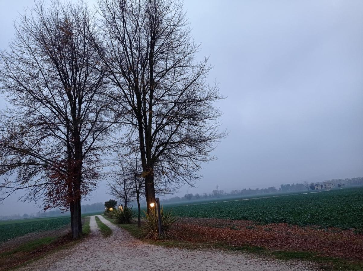 La Casa Di Tara B&B Armonia E Natura Recanati Eksteriør billede