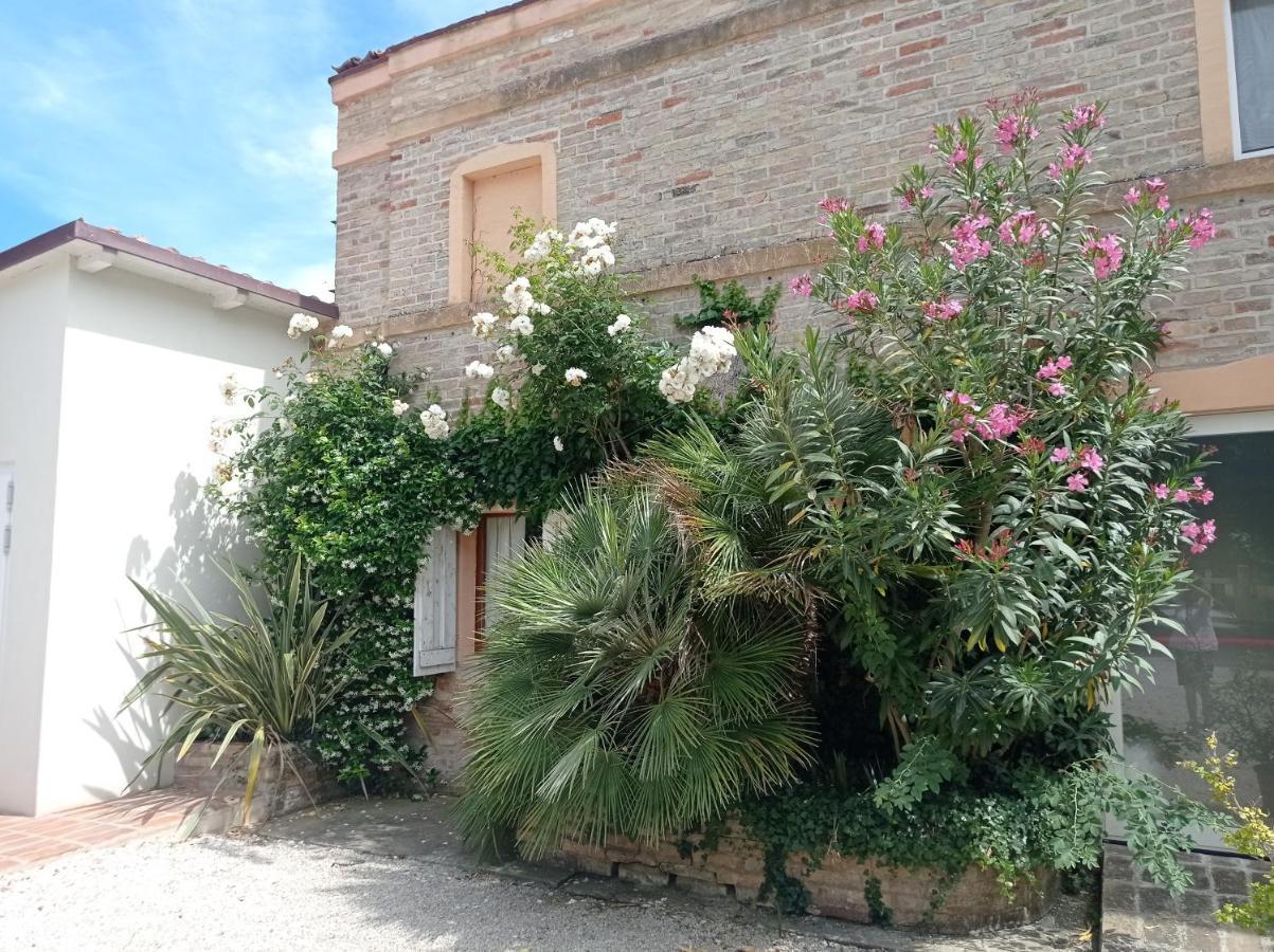 La Casa Di Tara B&B Armonia E Natura Recanati Eksteriør billede