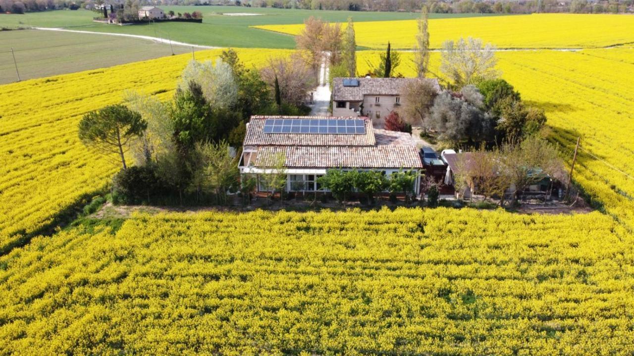 La Casa Di Tara B&B Armonia E Natura Recanati Eksteriør billede