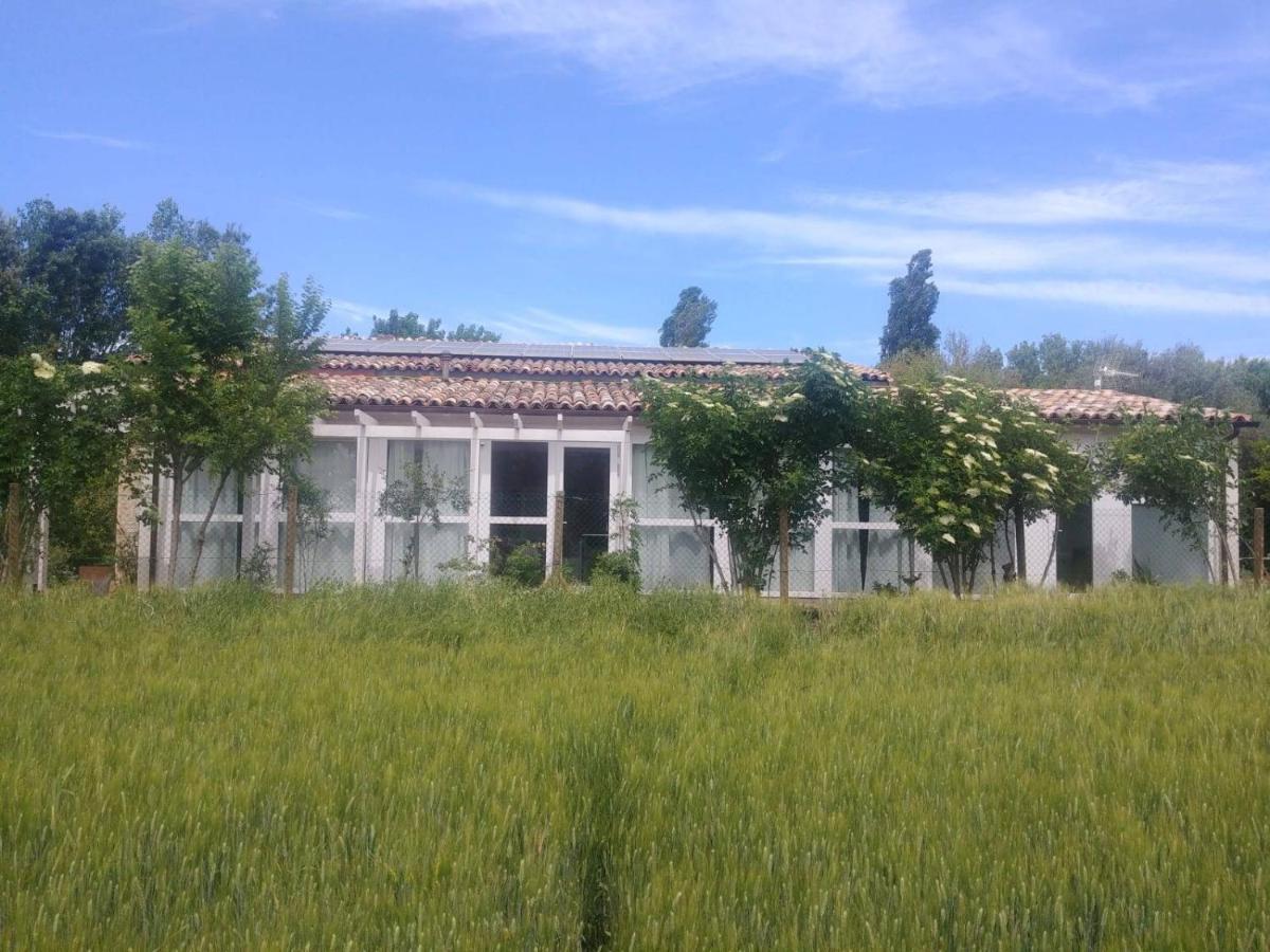 La Casa Di Tara B&B Armonia E Natura Recanati Eksteriør billede
