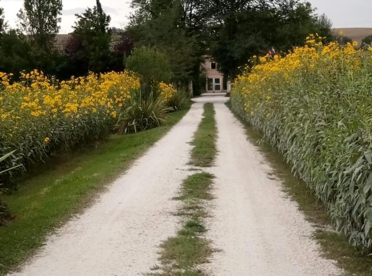 La Casa Di Tara B&B Armonia E Natura Recanati Eksteriør billede