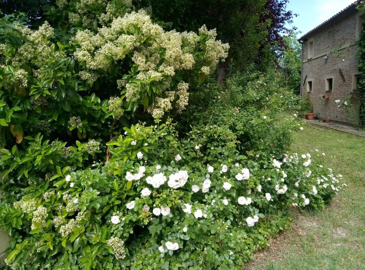 La Casa Di Tara B&B Armonia E Natura Recanati Eksteriør billede