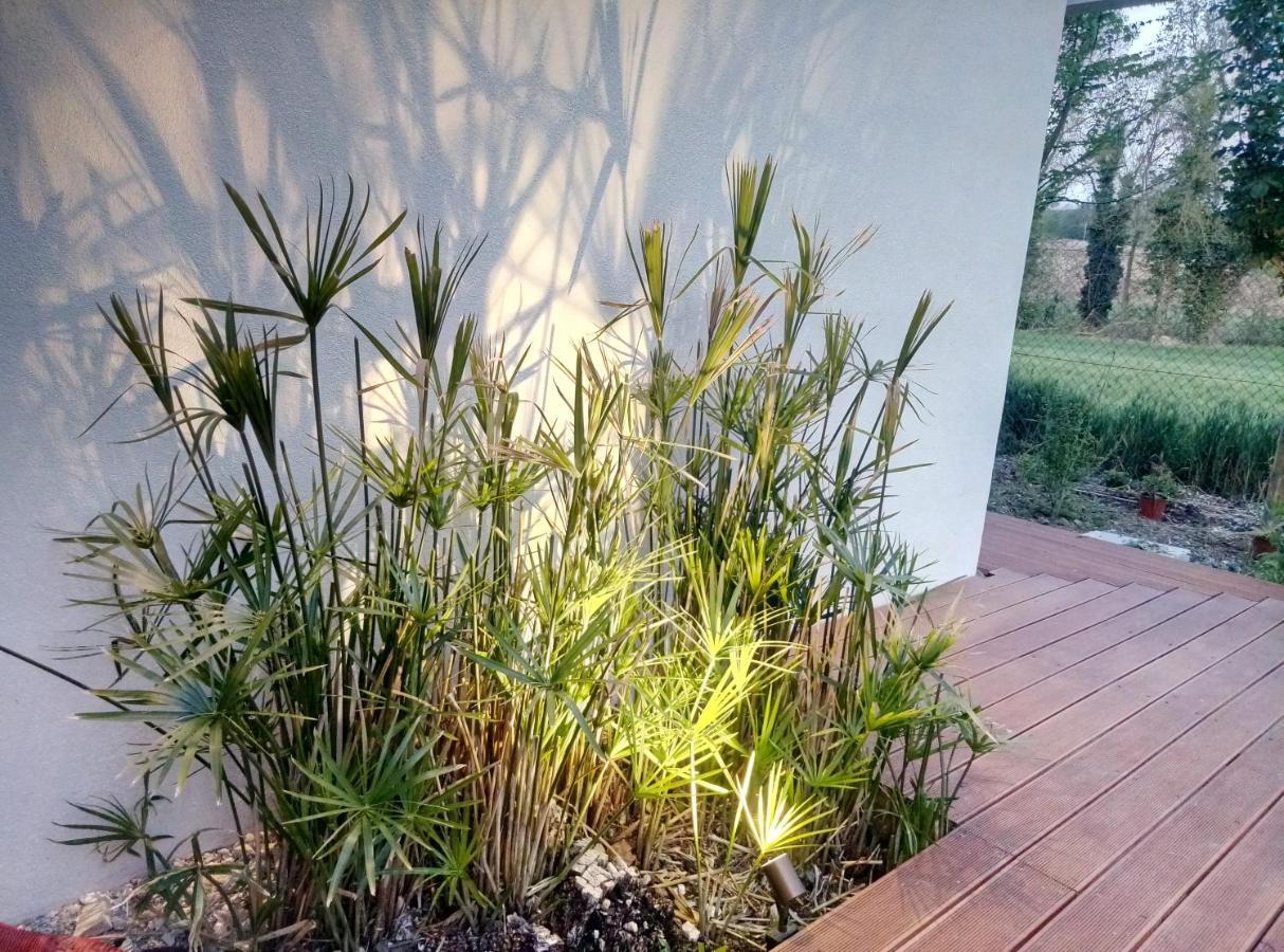 La Casa Di Tara B&B Armonia E Natura Recanati Eksteriør billede