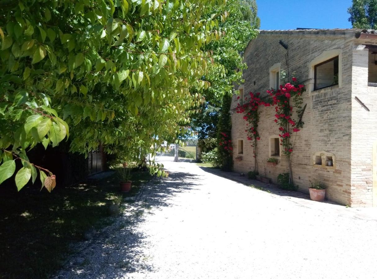 La Casa Di Tara B&B Armonia E Natura Recanati Eksteriør billede